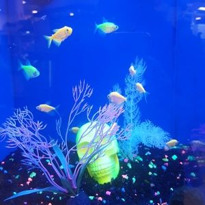 Happy‎ Friday!! Stop and Watch the Fish.